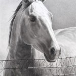 Mary Ross Buchholz, A Rancher’s Foundation, charcoal/graphite, 24 x 16.