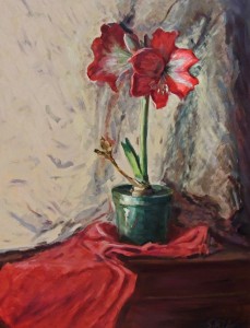 Drew Sarka, Amarylis Solitaris, oil, 24 x 18.