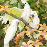 Jesse Arms Botke, Sulphur Crested Cockatoo, oil, 30 x 25, George Stern Fine Arts.