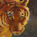 Sarah Webber, Tiger, Tiger Burning Bright, oil, 12 x 12.