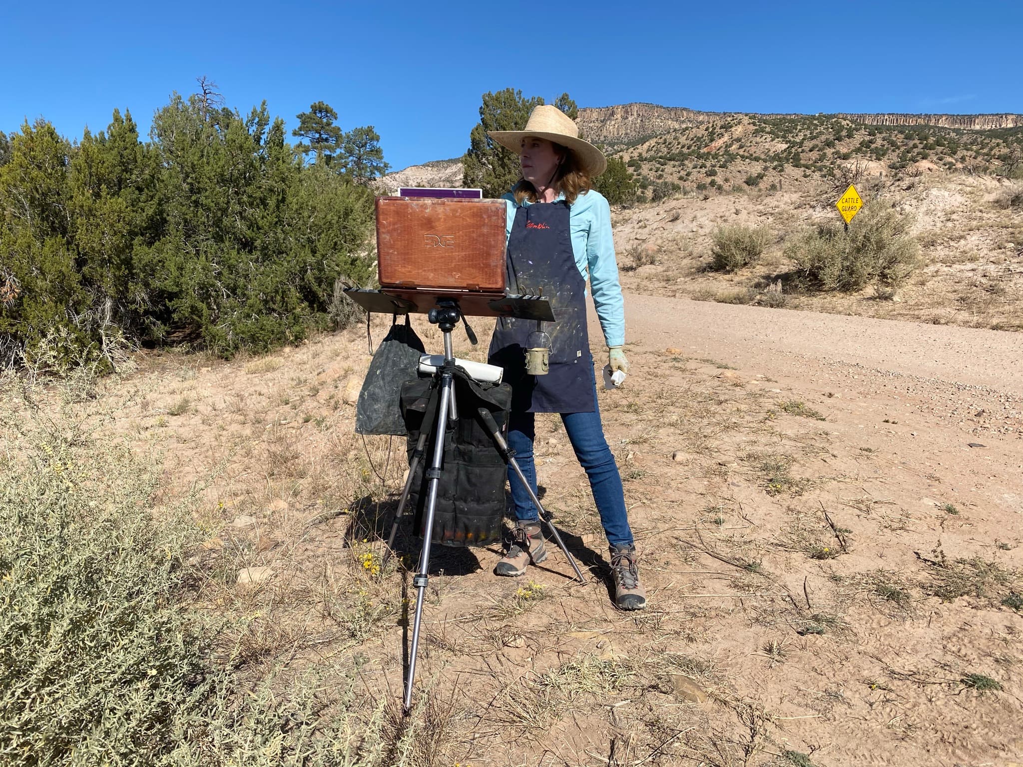 Barbara Coleman painting on location.