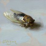 Adam Clague, Cicada, oil, 4 x 4.