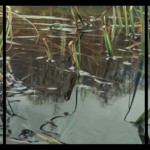 Gregory Block, Concerto in E (Spring) triptych, oil, 48 x 144.